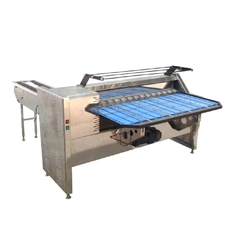 ماكينة فرز حجم البيض الأوتوماتيكية، ماكينة فرز بيض الدجاج الصغيرة #6