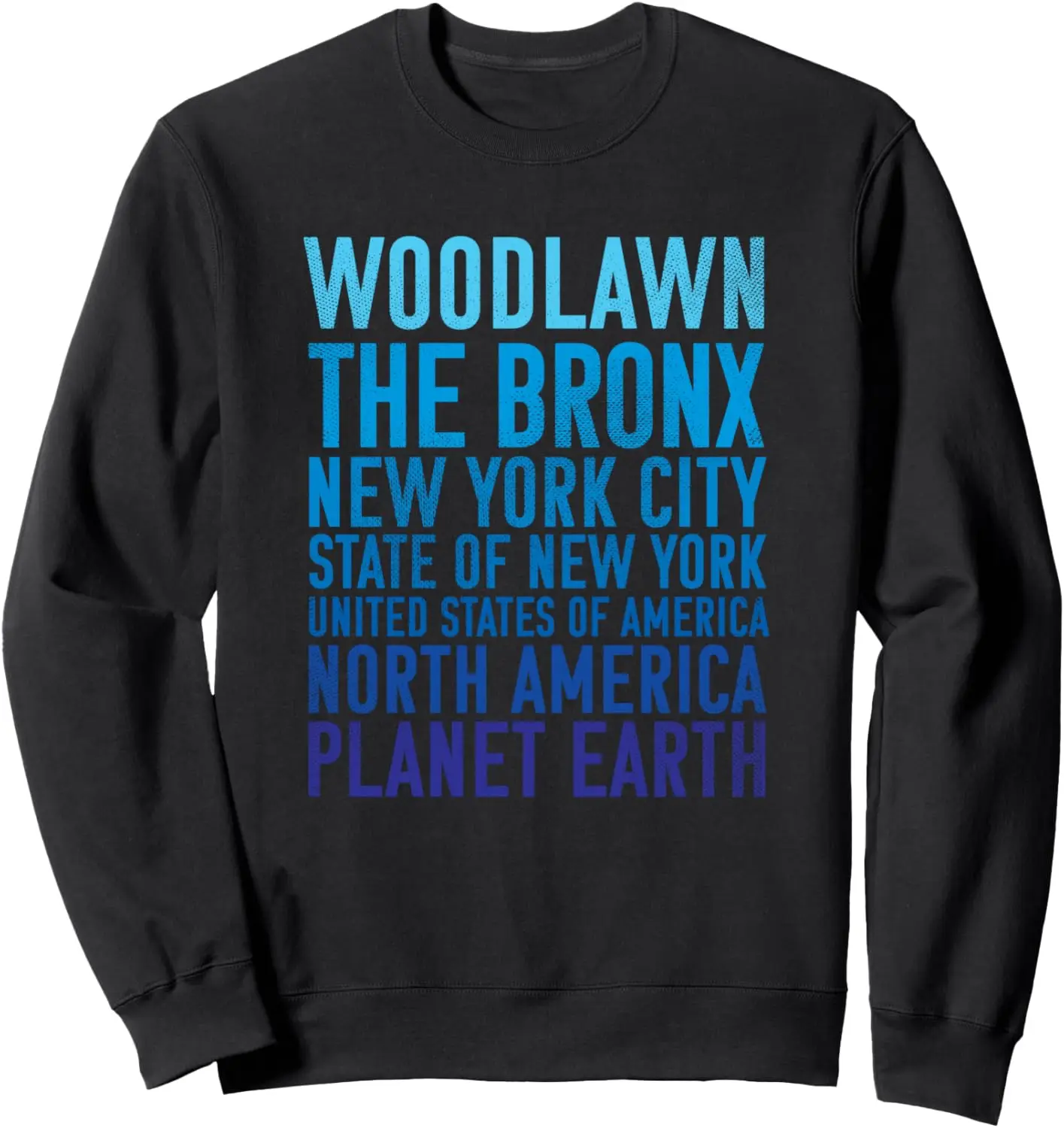 

Свитшот The Bronx Нью-Йорк земля