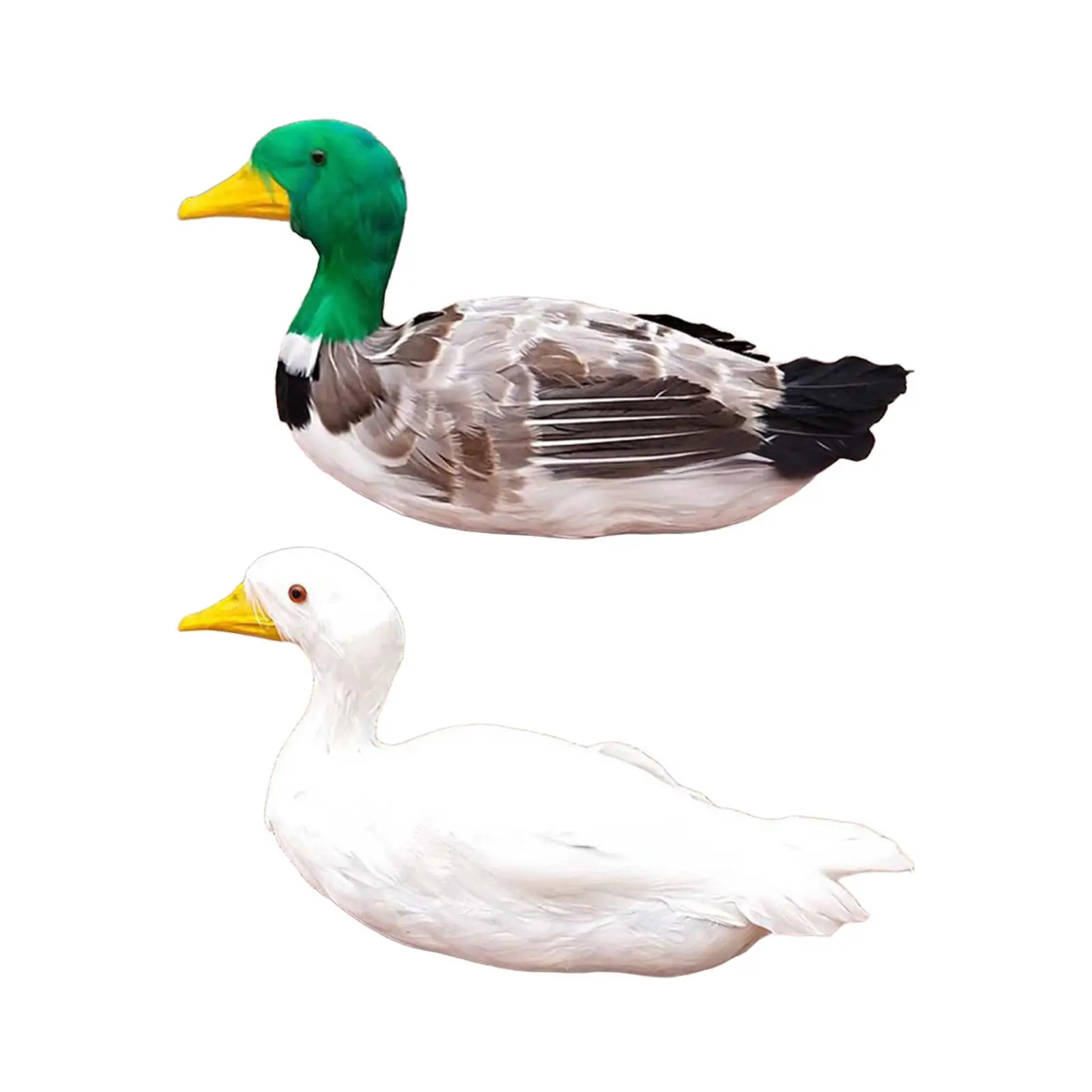 

Duck Simulation Model, Artificial Feather Prop Ornament, Fake Simulation Duck