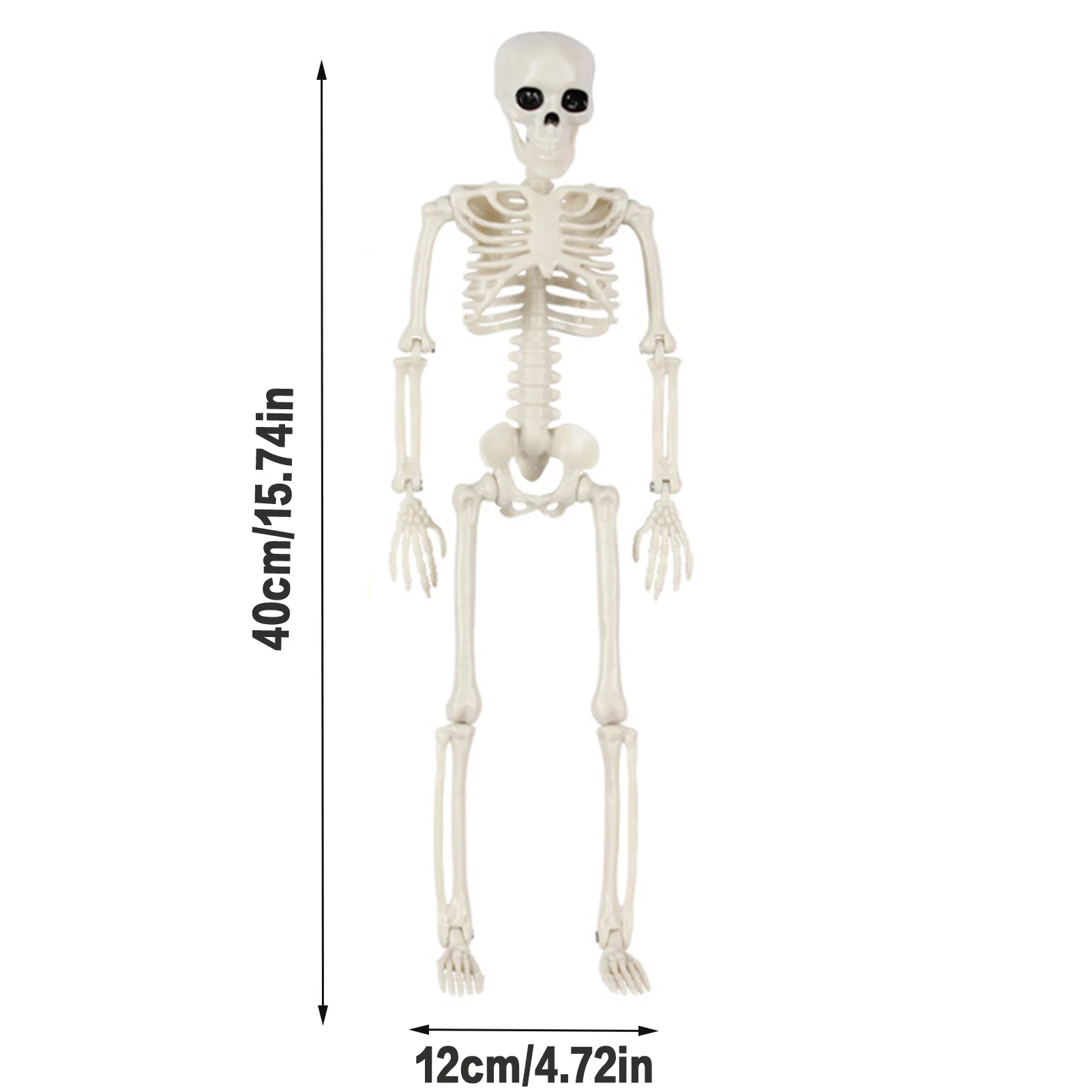 Halloween Life Size Skeleton Full Body 40cm Posable Halloween Skeleton Decor with Movable Joints for Haunted Houses Cemeteries
