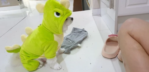 구매후기