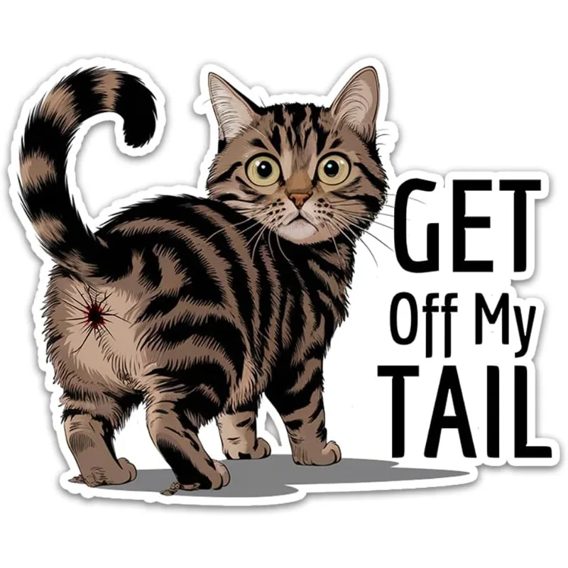 Funny Cat 