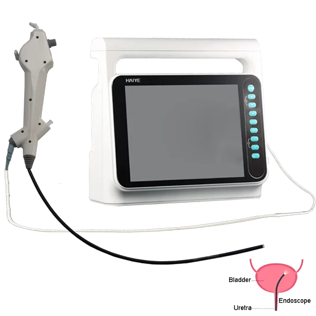 

Disposable Veterinary Portable Flexible USB Video Endoscope cystoscope For Small Animal