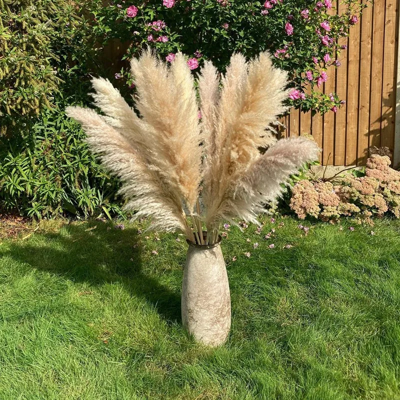 

1-1.1m Reed Large Pampas Grass Fluffy Natural Dryness Wedding Bouquet Tall Dried Flower Ceremony Modern Home Garden ​Decoration