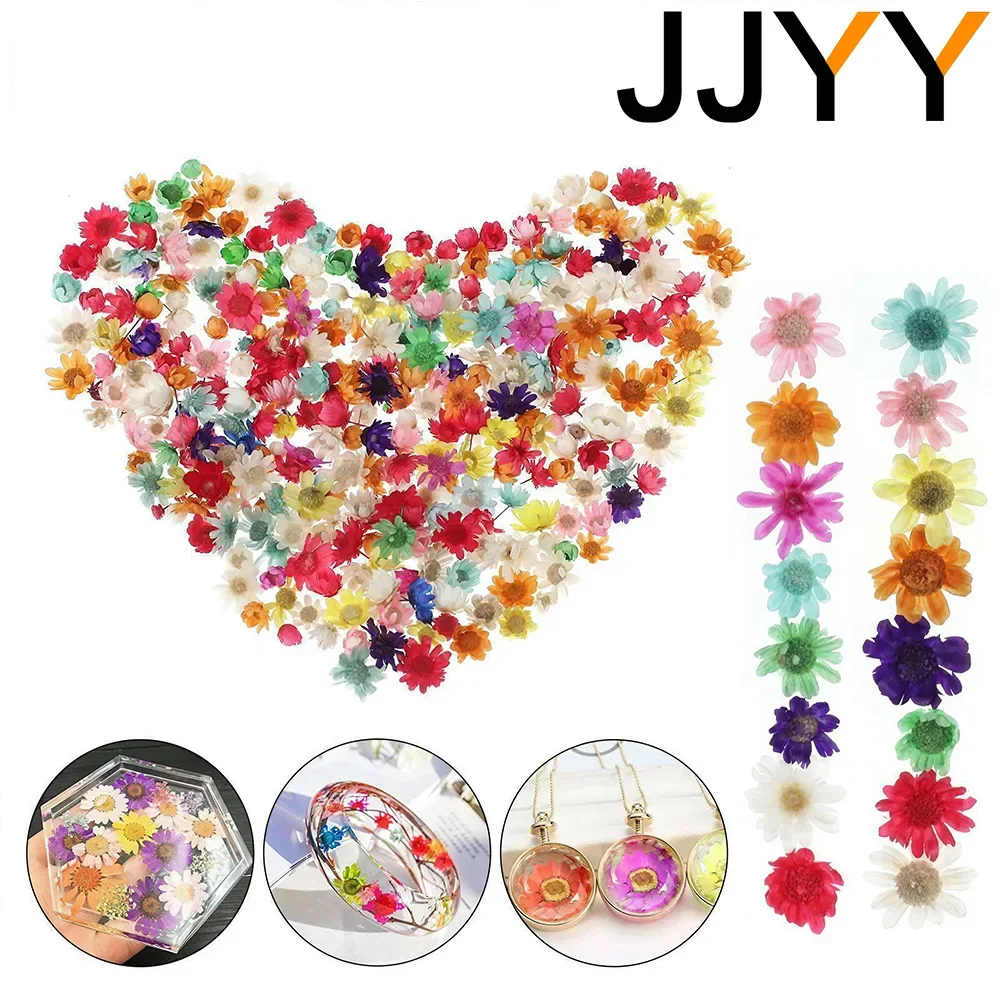 100 Pcs Multi Color Mini Dried Flowers Diy Art Crafts Epoxy Candle Making Jewelry Home Party Decoration Making Jewelry Art