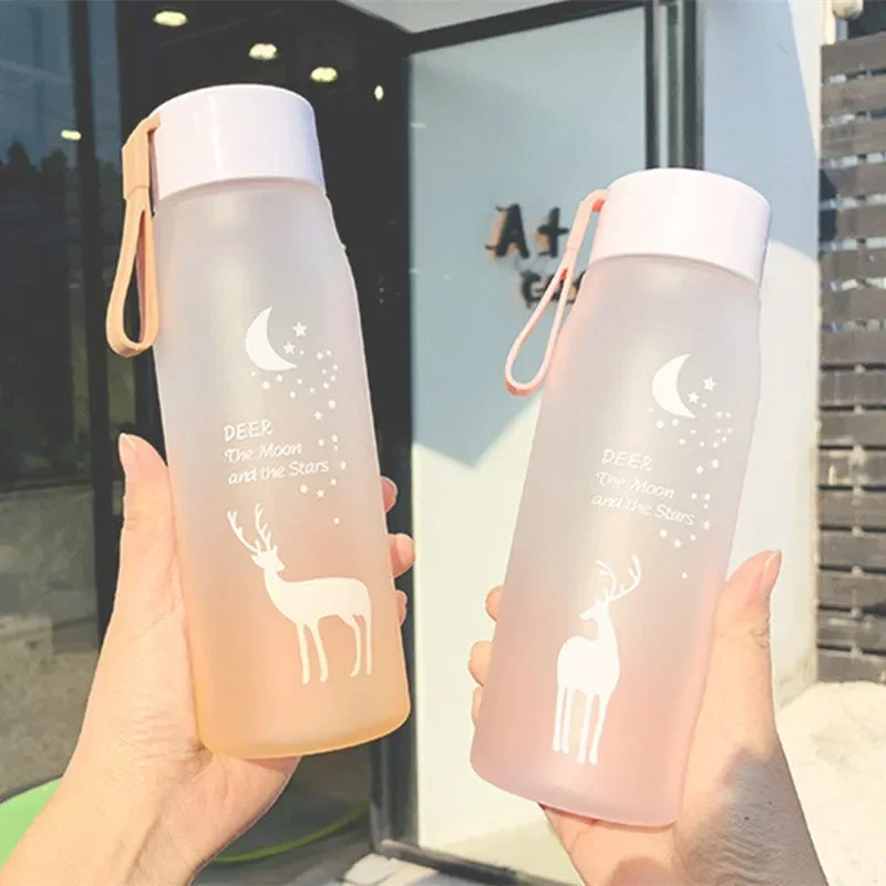 

560ml Cartoon Water Bottle Leak Proof Frosted Water Drinking Cup Portable Drinkware Plastic for Grils Office Outdoor Travel