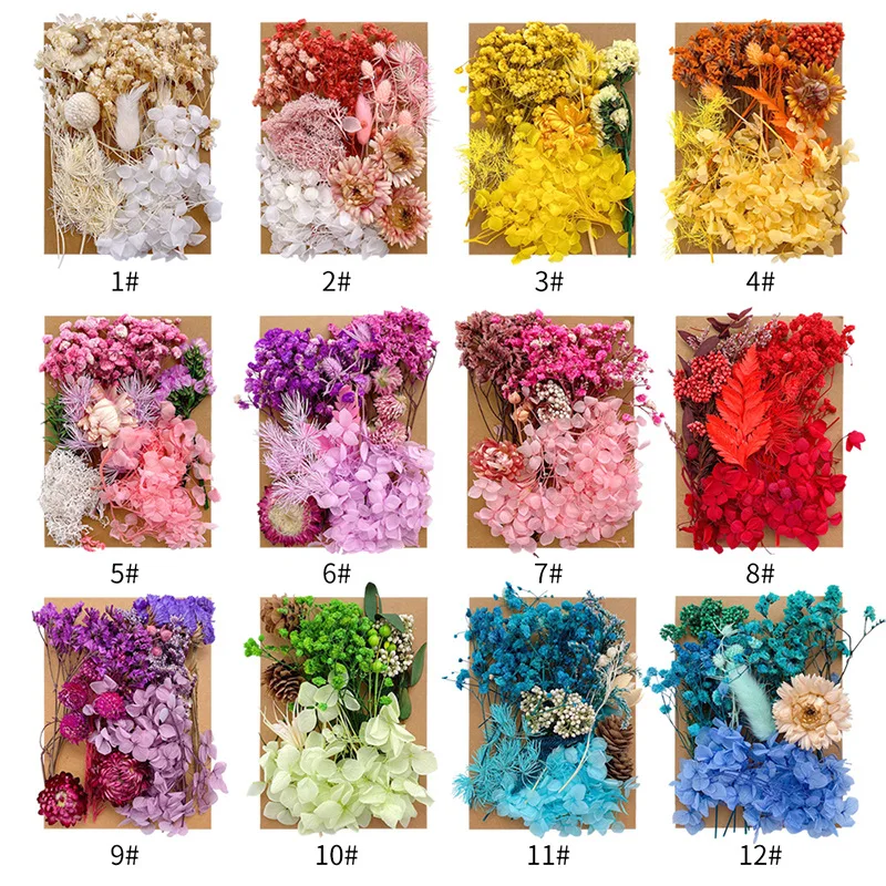 DIY Natural Dried Flower Resin Fillings Real Flower for Home Decoration Nail Art Handicrafts Jewelry Making Resin Crafts