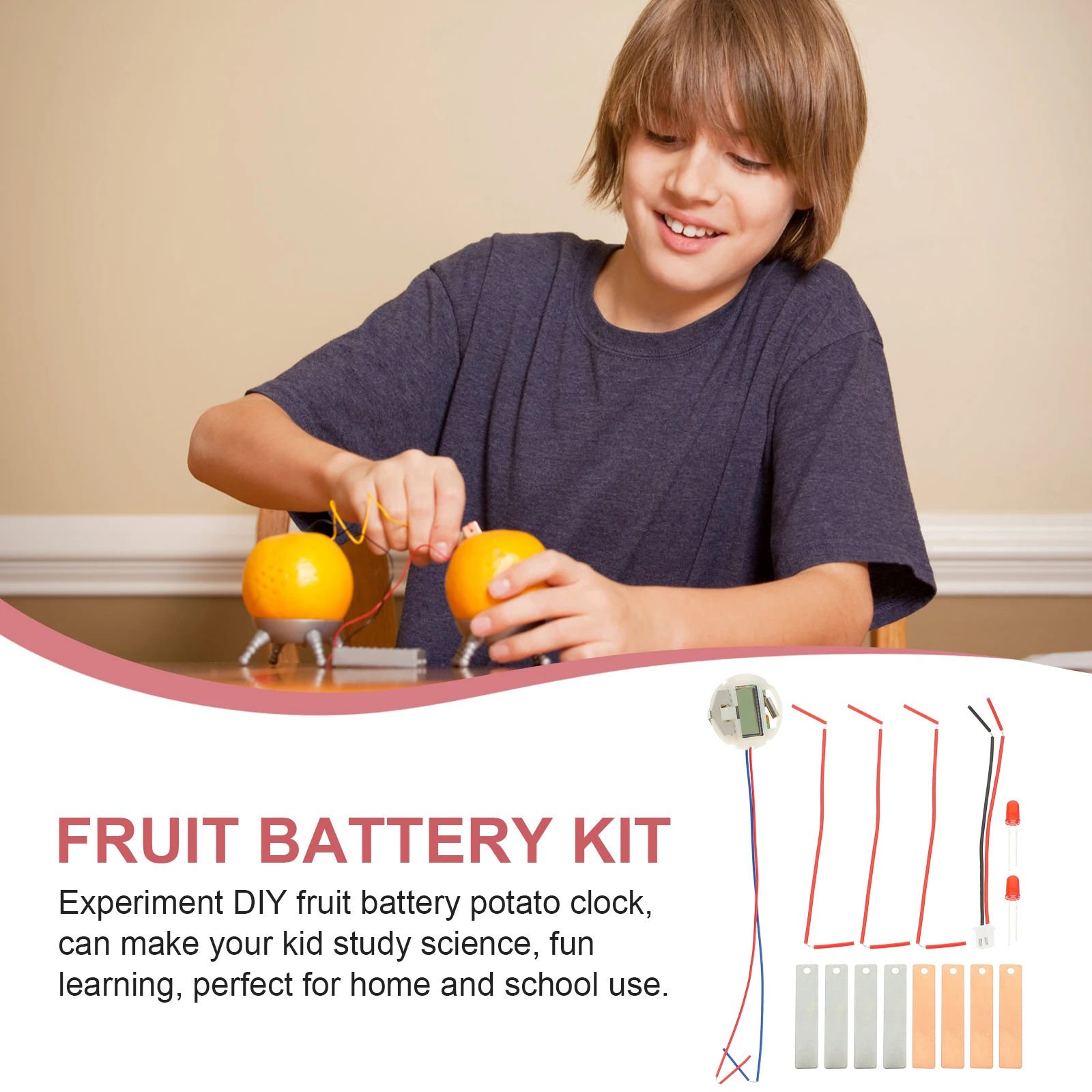 

1Set Fruit Science Experiment Kit Student DIY Educational Scientific Project School Fruit Sensory