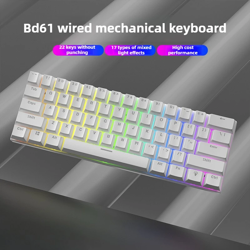 61 Key Mechanical Keyboard with Blue Brown Switches Mixed RGB Backlight for Gaming Laptop Wired