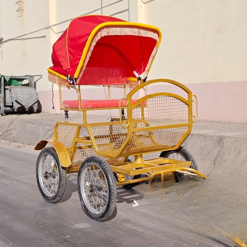

Four-wheeled golden pony carriage, animal-pulled carriage with carriage hood, horse-drawn carriage ancient city scenic sp