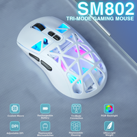 SOLAKAKA SM802 Wireless Gaming Mouse 10000 DPI Customized Macro Replaceble Switch RGB Gamer Mouse 63g Ultra-light