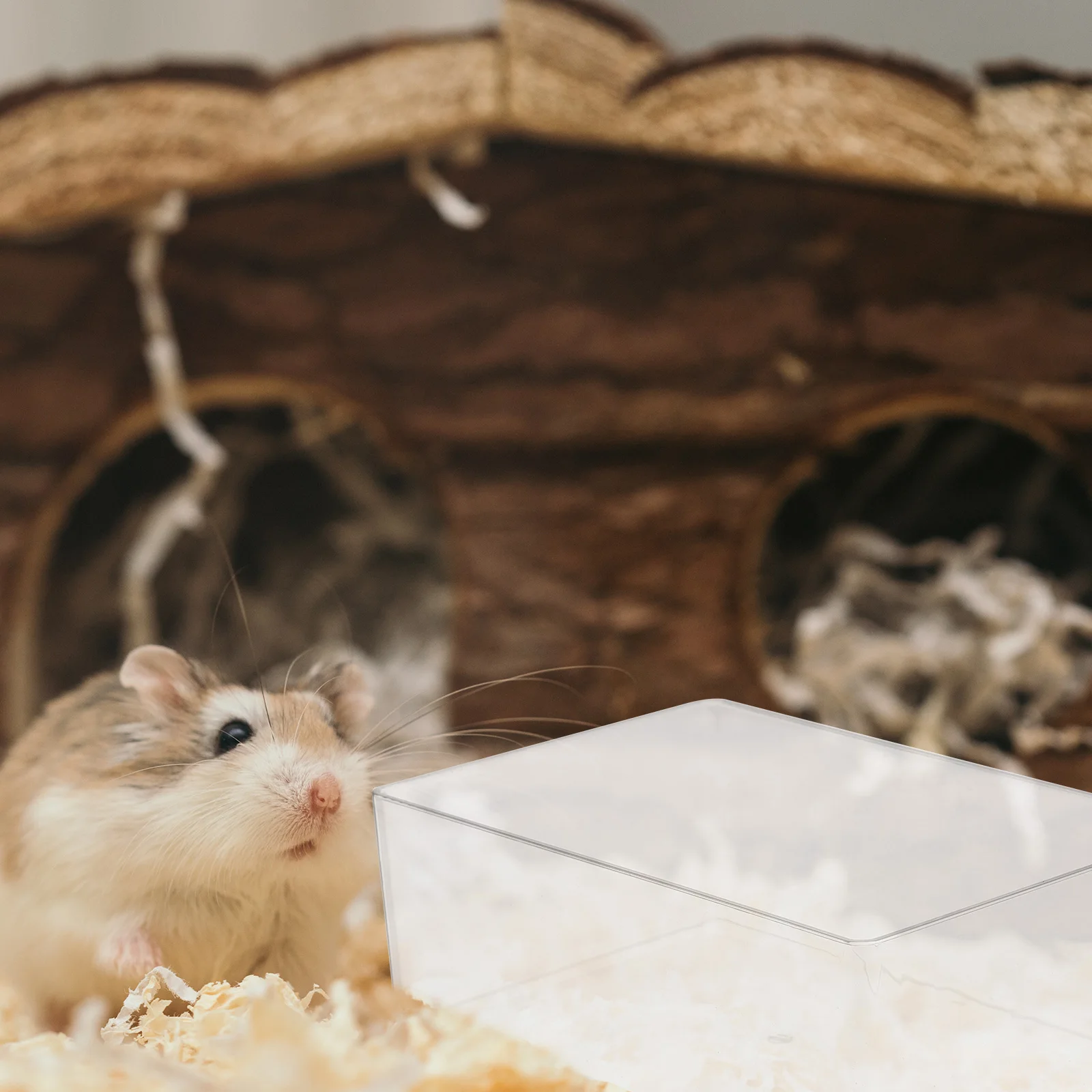 

Acrylic Hamster Bath Tub Box for Small Pets Guinea Pigs Daily Use Wear Resistant Reusable Transparent Bathtub Lightweight