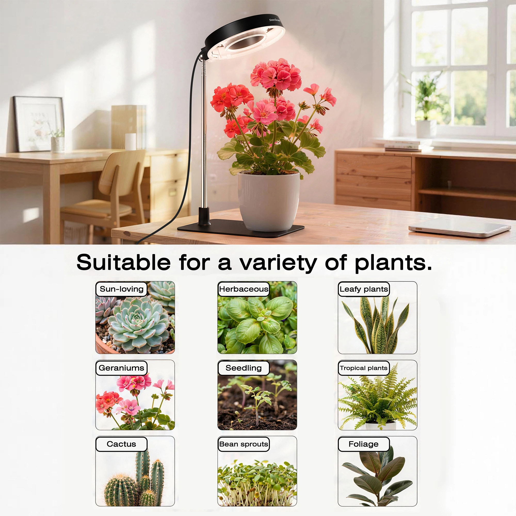 2 Pcs Plant Grow Light with 720 Degree Rotatable Magnetic Head, Full Spectrum LED Lamp with Base and Soil Stake, 3 6 9H Timer, 4 Level Dimmable Extendable Pole