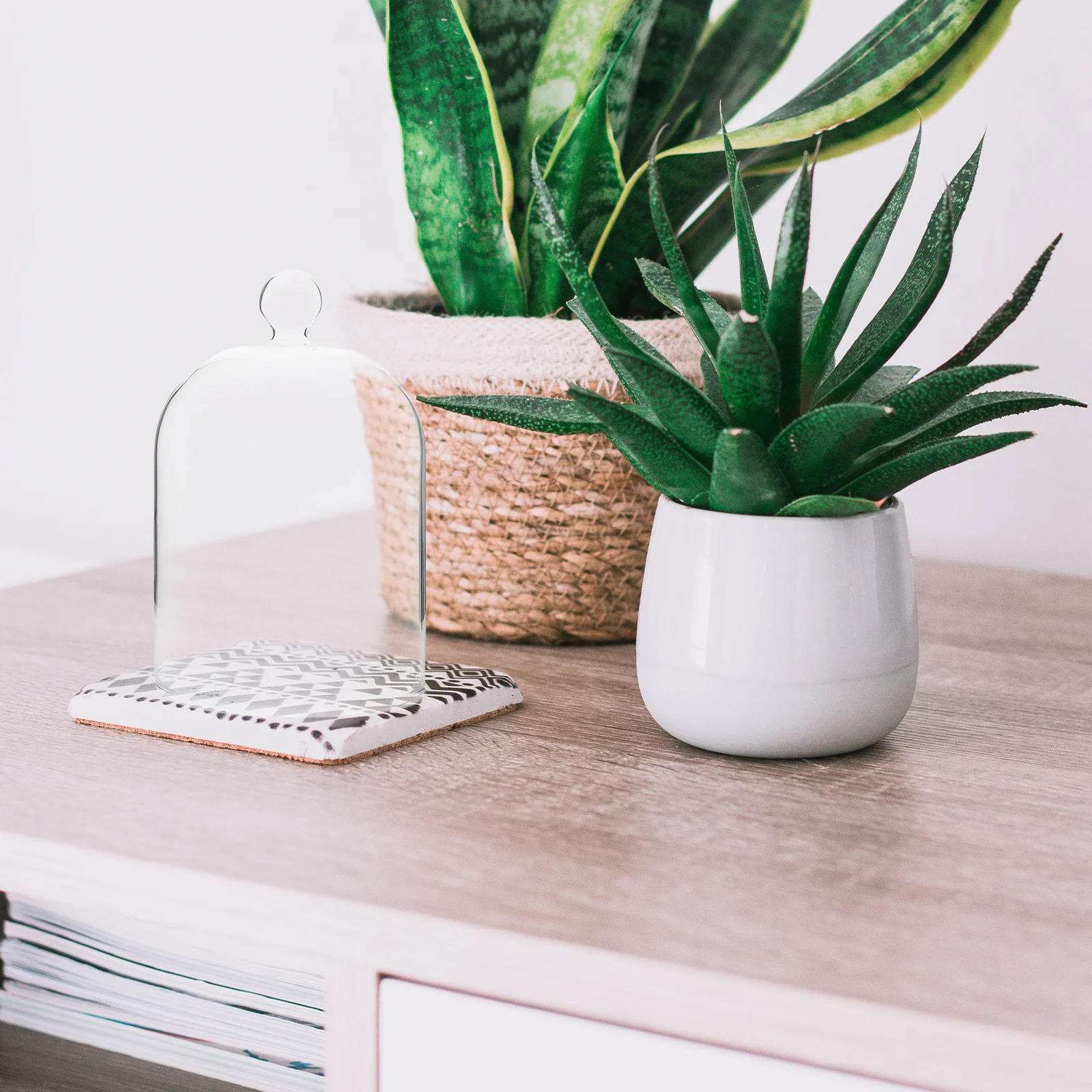 

Glass Cloche Dome Eternal Flower Cover Clear Display Dome Bell Jar for Home Wedding Dried Flower Decoration Glass Bell Jar