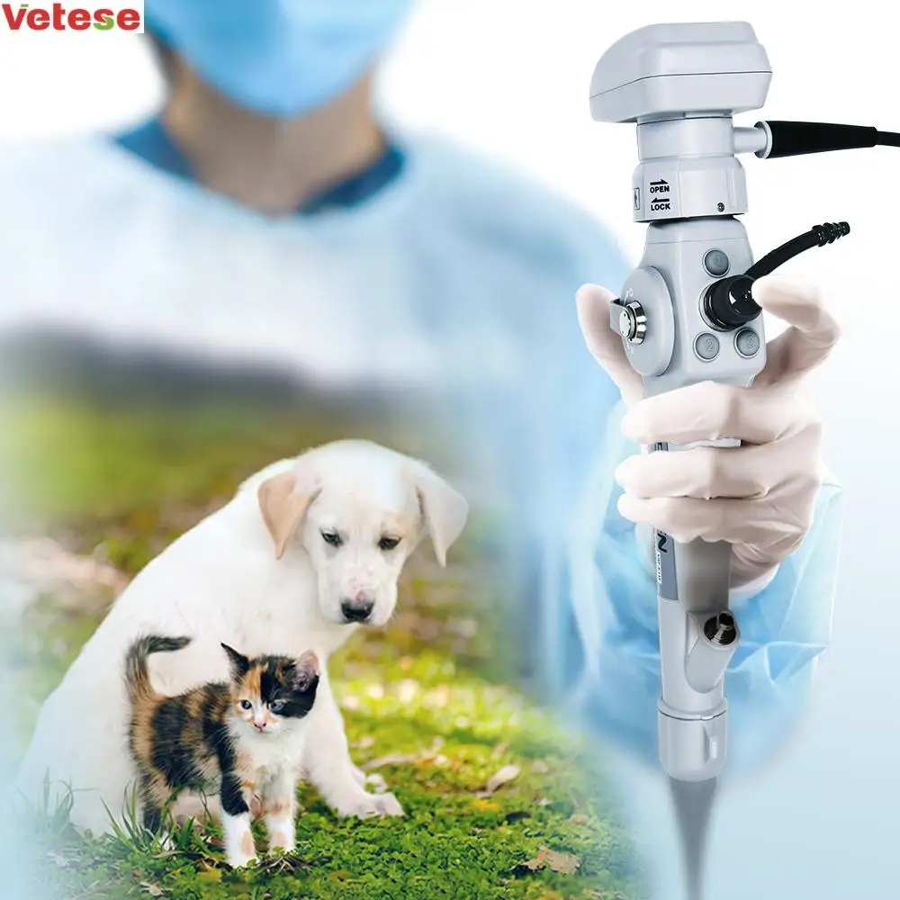 Portable Small Animal Video Endoscope Gastroscope  Ureteroscopy for Veterinary PET Endoscopy