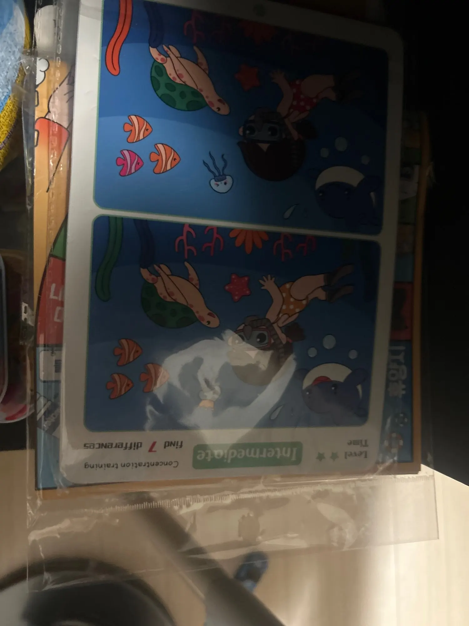 리뷰 사진