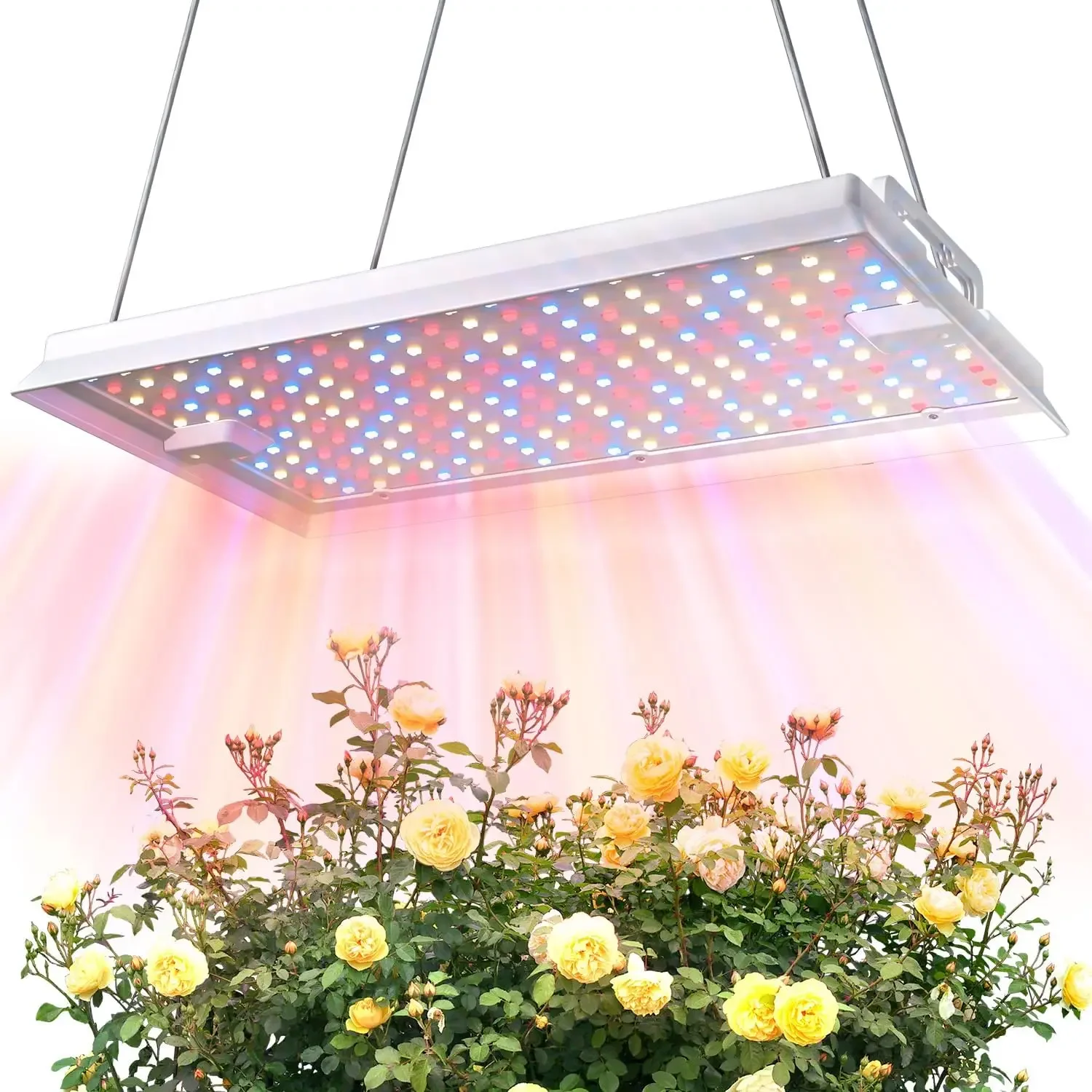 

Plant Grow Light, [Smart APP & Expansive 2x3 Ft Coverage] Genuine 100W Output LED Full Spectrum for Indoor Plants, 8-Level Brigh