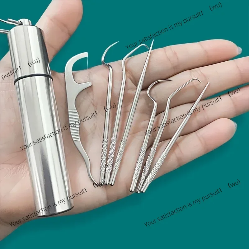 Stainless steel toothpick set, reusable tartar removal tool portable, oral cleaning