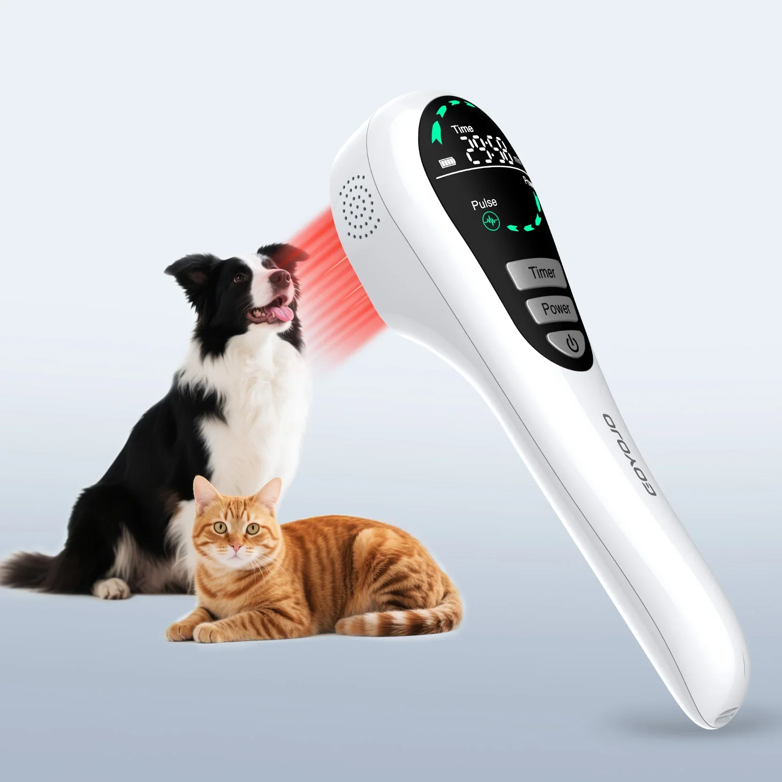 Fysiotherapie-instrument Koud nabij infrarood lichttherapie-apparaat Snel herstelbehandeling Veterinaire hond Kat Paard Pijnverlichting - afbeelding 2