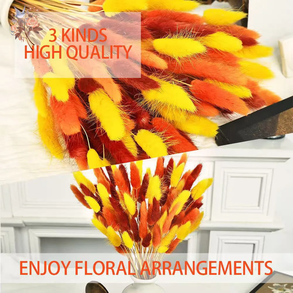 90 Stems Colorful Rabbit Tail Grass Natural Dried Flower Home Vase Decor for DIY Craft Lagurus Ovatus Plants Wedding Arrangement - Image 4