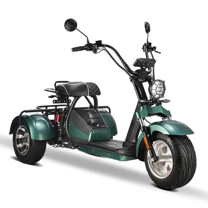 Adult Electric Motorcycle Scooter Tricycle 2000W Electric Citycoco motocicleta eléctrica