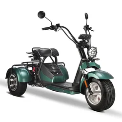 Citycoco-motocicleta eléctrica para adulto, Scooter, triciclo, 2000W