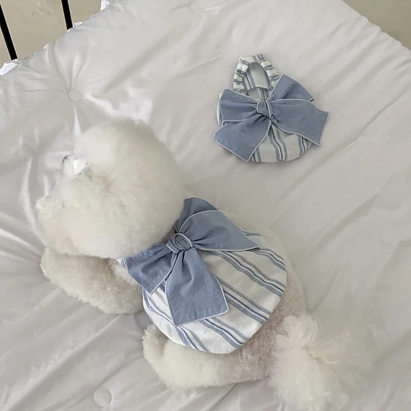 Teddy Kürbis Kleid Frühling Sommer Dünne Haustier Kleidung Bären Gestreiftes Kleid Malteser Weiche Pullover Japanische Hundekleidung