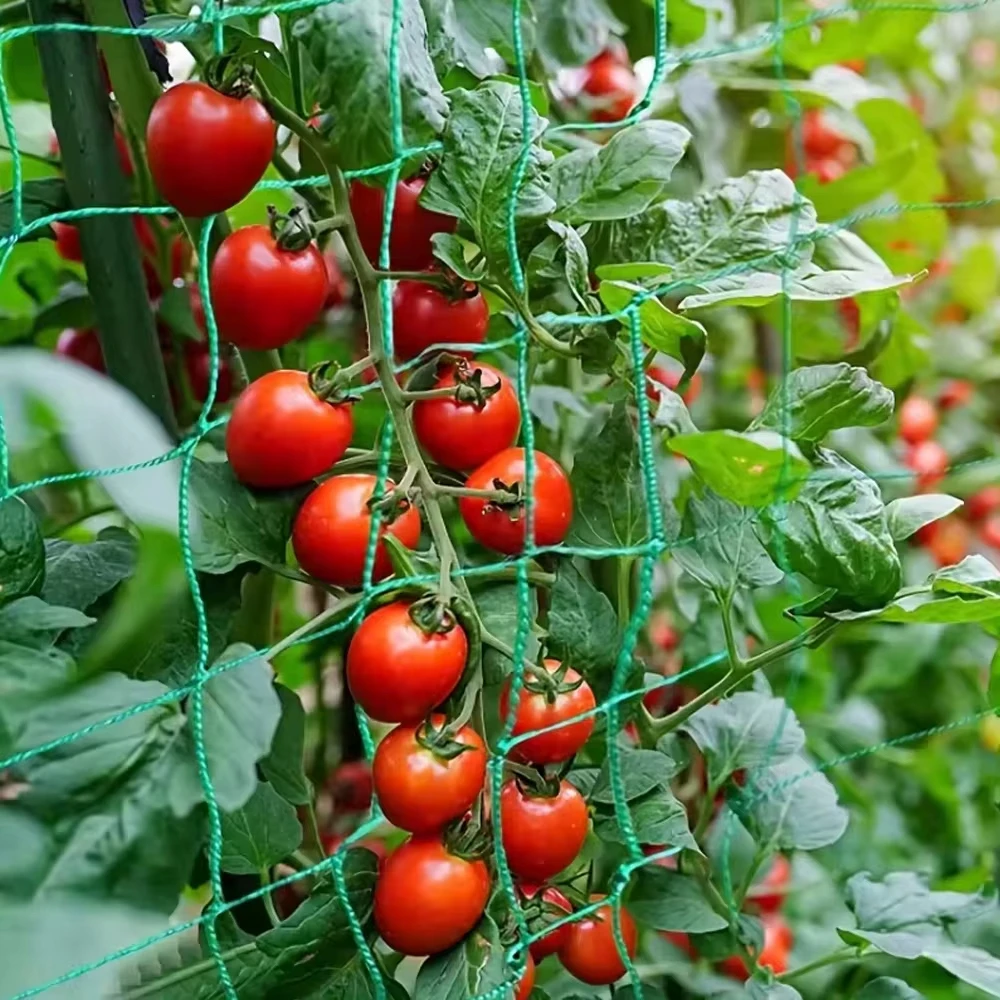 Climbing Netting  Garden Strong Nylon Plant Trellis For Climbing Plants Loofah Morning Glory Flowers Cucumber Vine