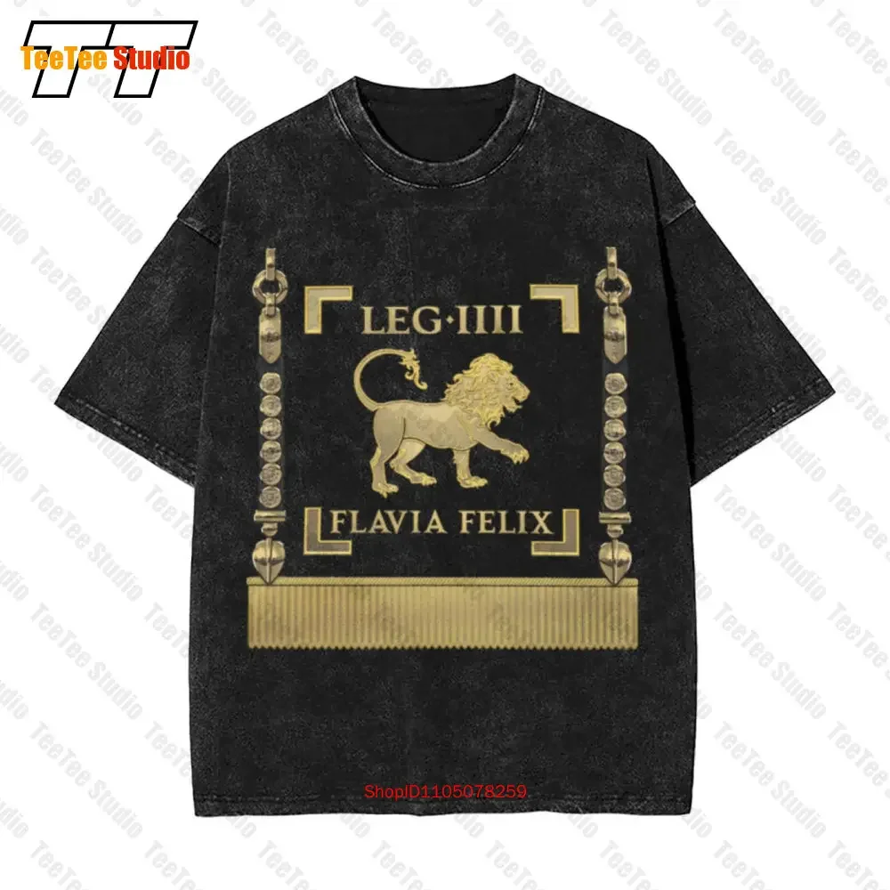 Standard Of The Lucky Flavian Fourth Legion Vexillum Of Legio Iv Flavia Felix Vintage Oversized T-Shirt PQOO