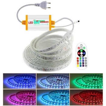 סטריפ LED RGB עמיד למים עם שלט מרחוק EU 220V, שינוי צבע, נורת נאון רצועה 60 לדים למטר, קישוט גינה מרובה צבעים