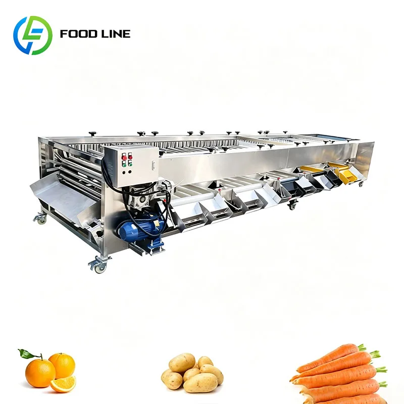 Fruit Size Grading Machine Small Fruit Sorter Produce Grader for Kumquat Loquat Raspberry Customized