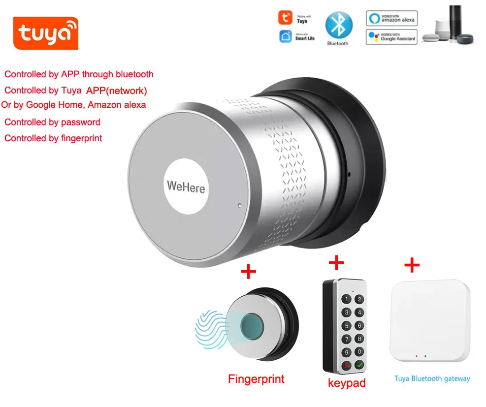 M530 Secure Interior Smart Fingerprint Lock No Cylinder Intelligent Tuya for Woden Door