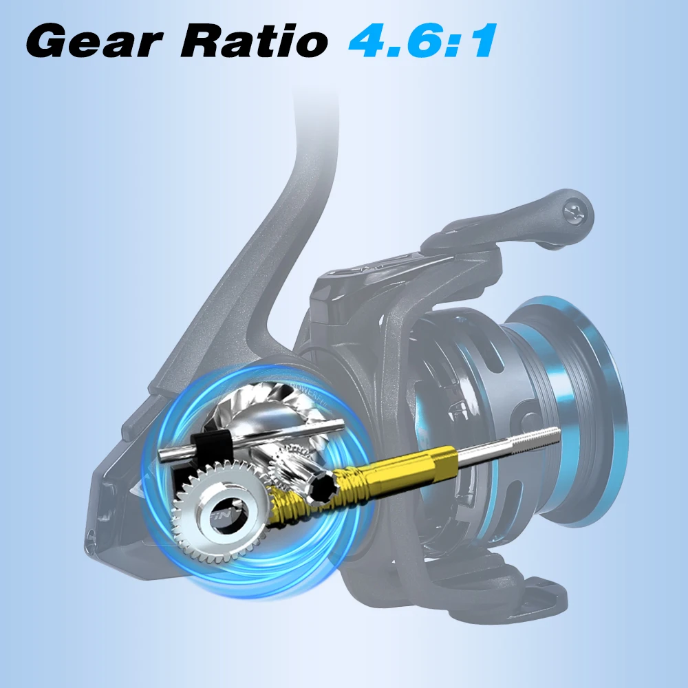 cheap feeder fishing reels Dr.Fish Baitfeeder Spinning Reel 5.5:1 2 Spools for Saltwater 3000 (2 Spools) one graphite spare spool Lizard Big Spool 10000 Series