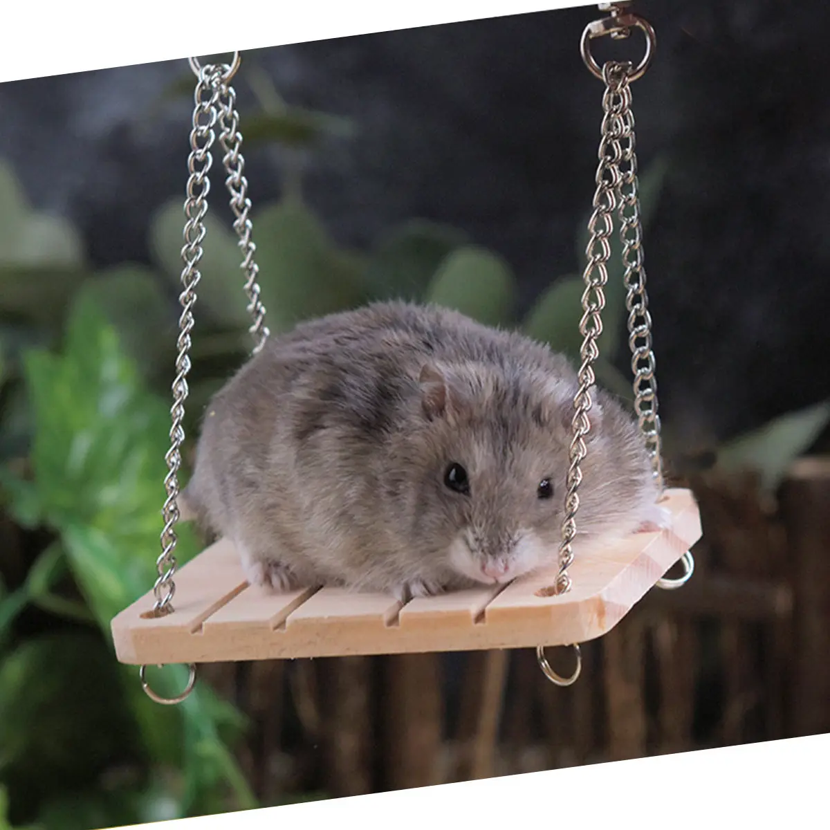 

10Pcs Hamster Teeth Care Accessories Natural Wooden Chewing Set Small Animal Grinding Tools for Oral Health Stress Relief Pet