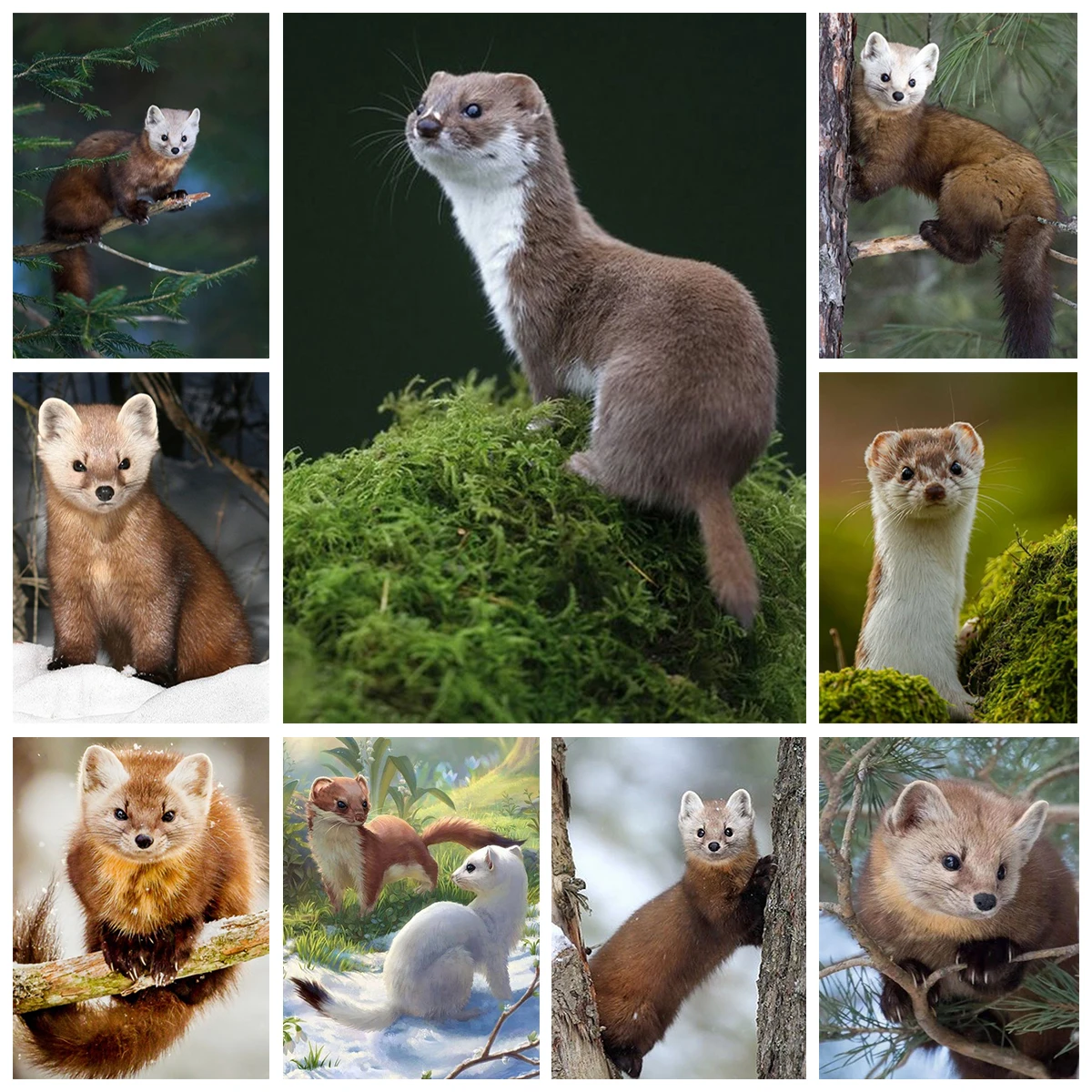 

Cute Ferret DIY Diamond Painting Pet Supplies Store Living Room Bedroom Children's Room Home Warm Wall Decoration Handmade Gift