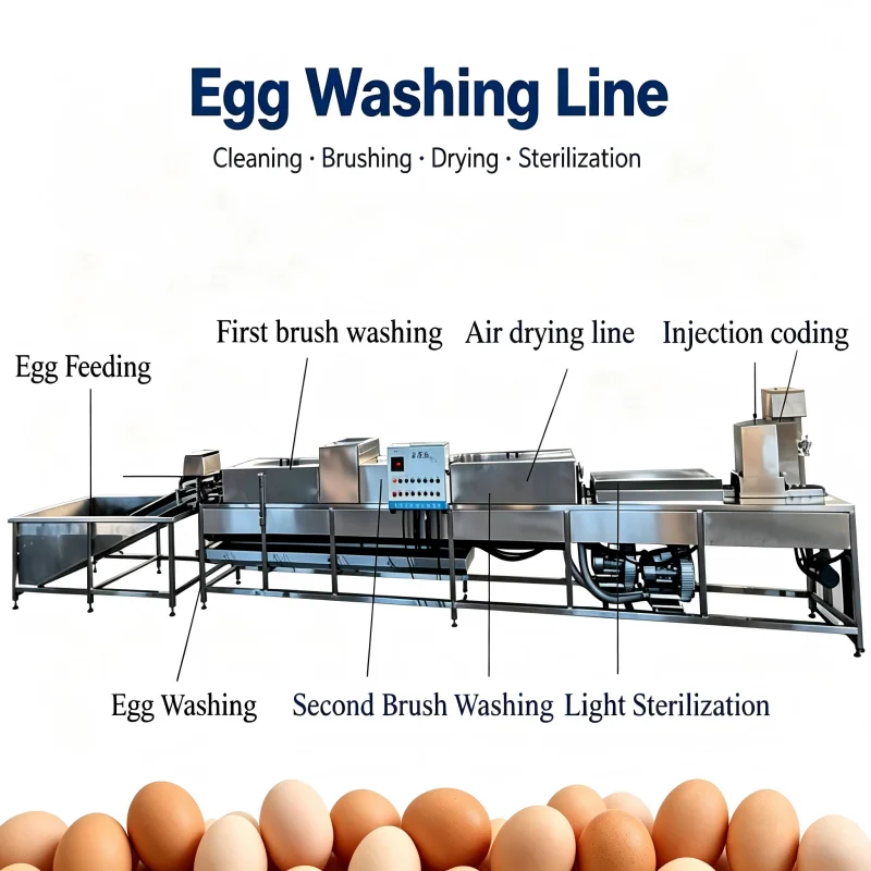 Egg Breaking Machine Commercial Grade Stainless Steel Cracker & Pasteurizer Processing Line 220V