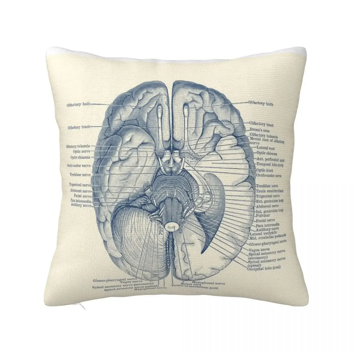 Brain Nervous System Diagram Pillow Case Cushion Cover 45X45 Cushions Cover Pillow Case Pillow Cover