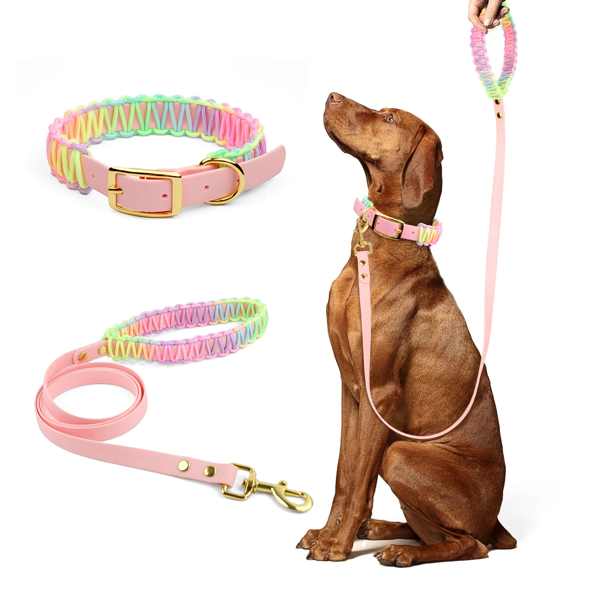 

Pet Supplies Collar And Leash Set Colorful Webbing PVC Lead Rope Fashion Dog Walking Leash Set Golden Retriever Pit Bull Pug New