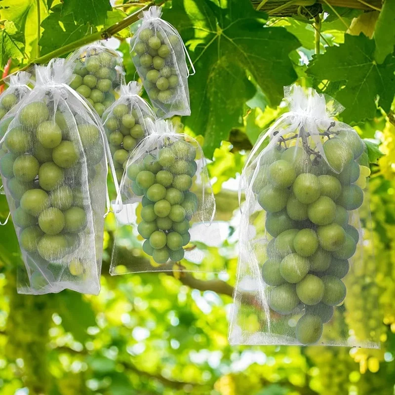 50 sztuk pakiet usta Organza sznurkiem ogród odporna na ptaki siatka ochronna na owoce siatkowa torba do pakowania prezentów