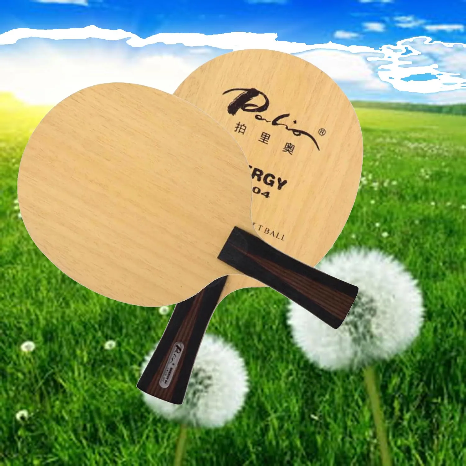 

Original PALIO ENERGY 04 ENERGY 4 Table Tennis Blade Racket CARBON Offensive Energy-04 Spin Speed Ping Pong Bat Paddle ENERGY4