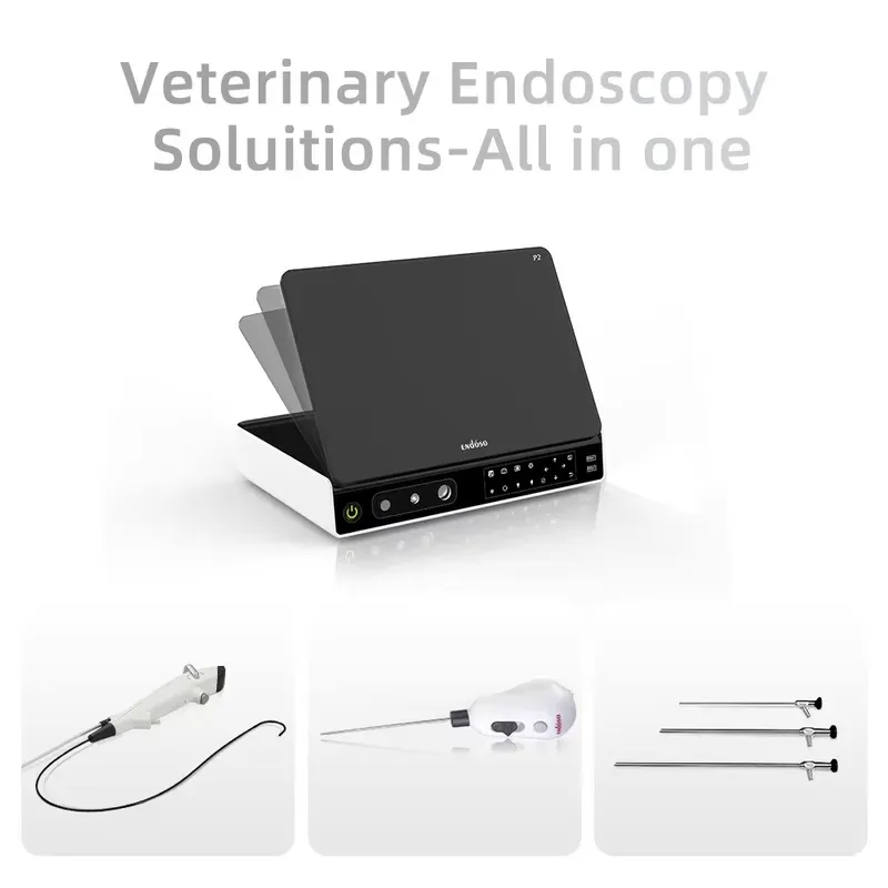 Veterinary Colonoscope System 4K Portable High-resolution for Equine Diagnose and Treatment