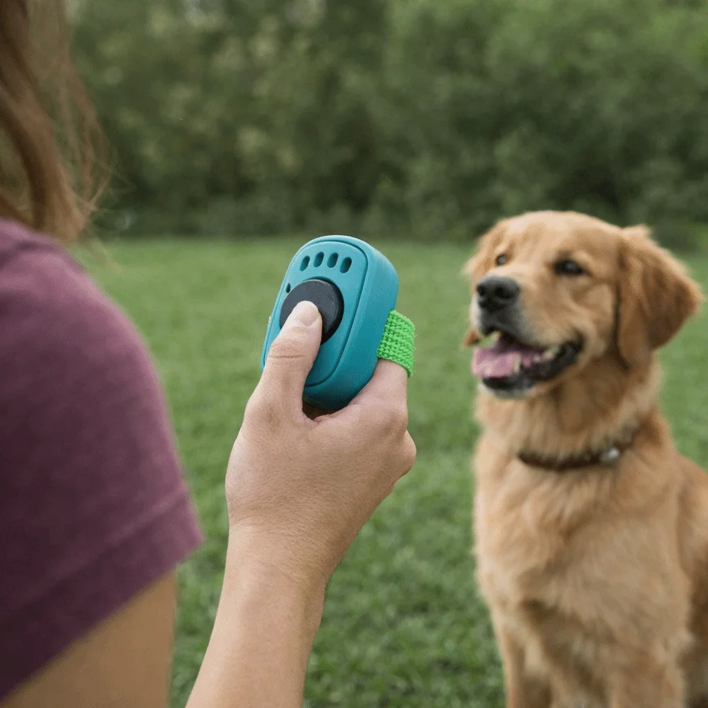 

Professional Dog Thumb Training Clickers Lightweight No Battery Interactive Sound Clicker Mini Finger Ring Pet Clicker Trainer