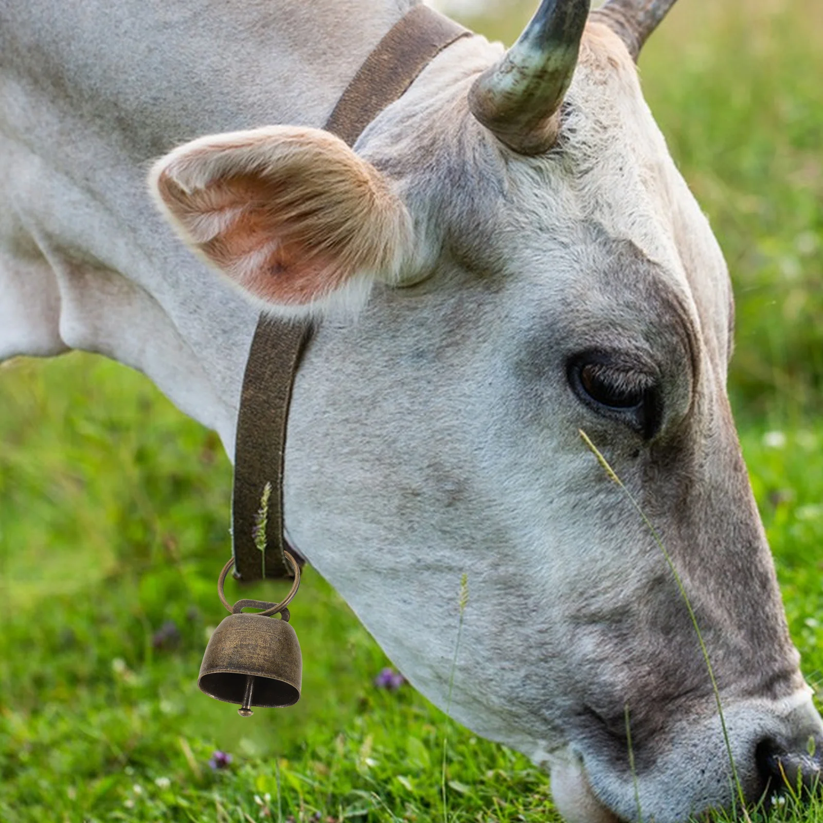 10 قطعة أجراس البقرة المعدنية: حديد عتيق محمول باليد لمزرعة رعي الحيوانات حديقة الدقات حفلة عيد الميلاد الأحداث الرياضية التشجيع