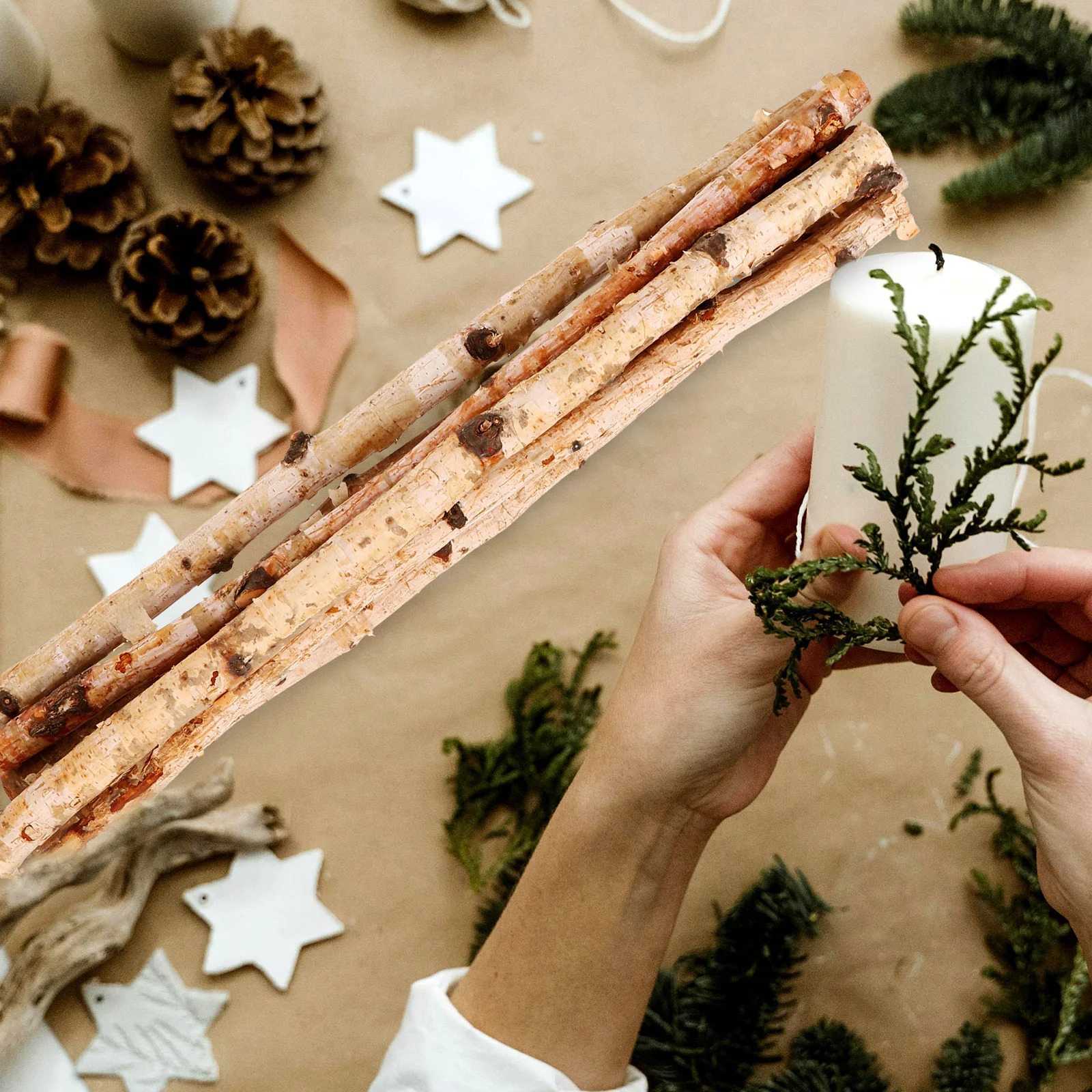 

6Pcs Natural Branch Sticks for DIY Crafts Wood Craft Sticks Decorative Sticks for Home Decoration Photography Props Supply