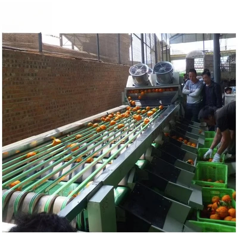 Custom Vegetable Fruit Sorting Machine Grader Fruits Line Fruit Grader