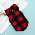 Red Black