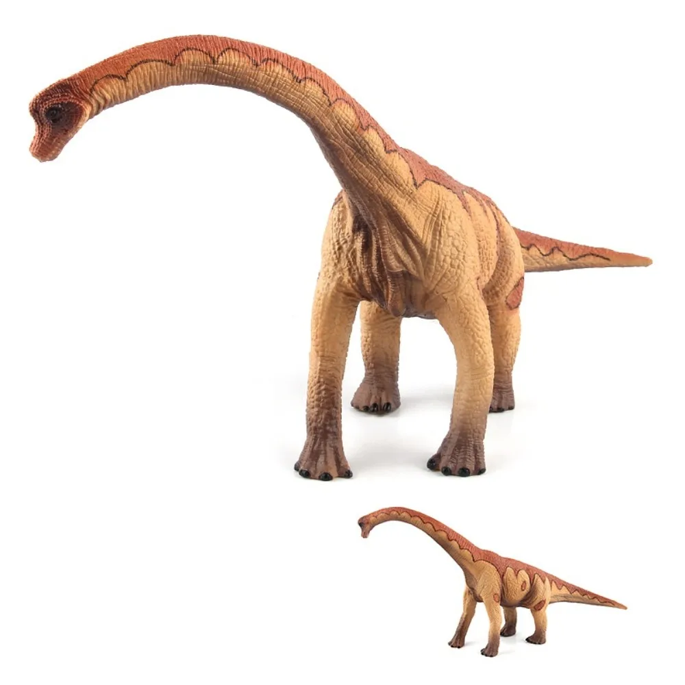 

Herbivorous Dinosaur Model Simulated Apatosaurus Dinosaur Action Figures Educational Realistic Jurassic Dinosaur For Children
