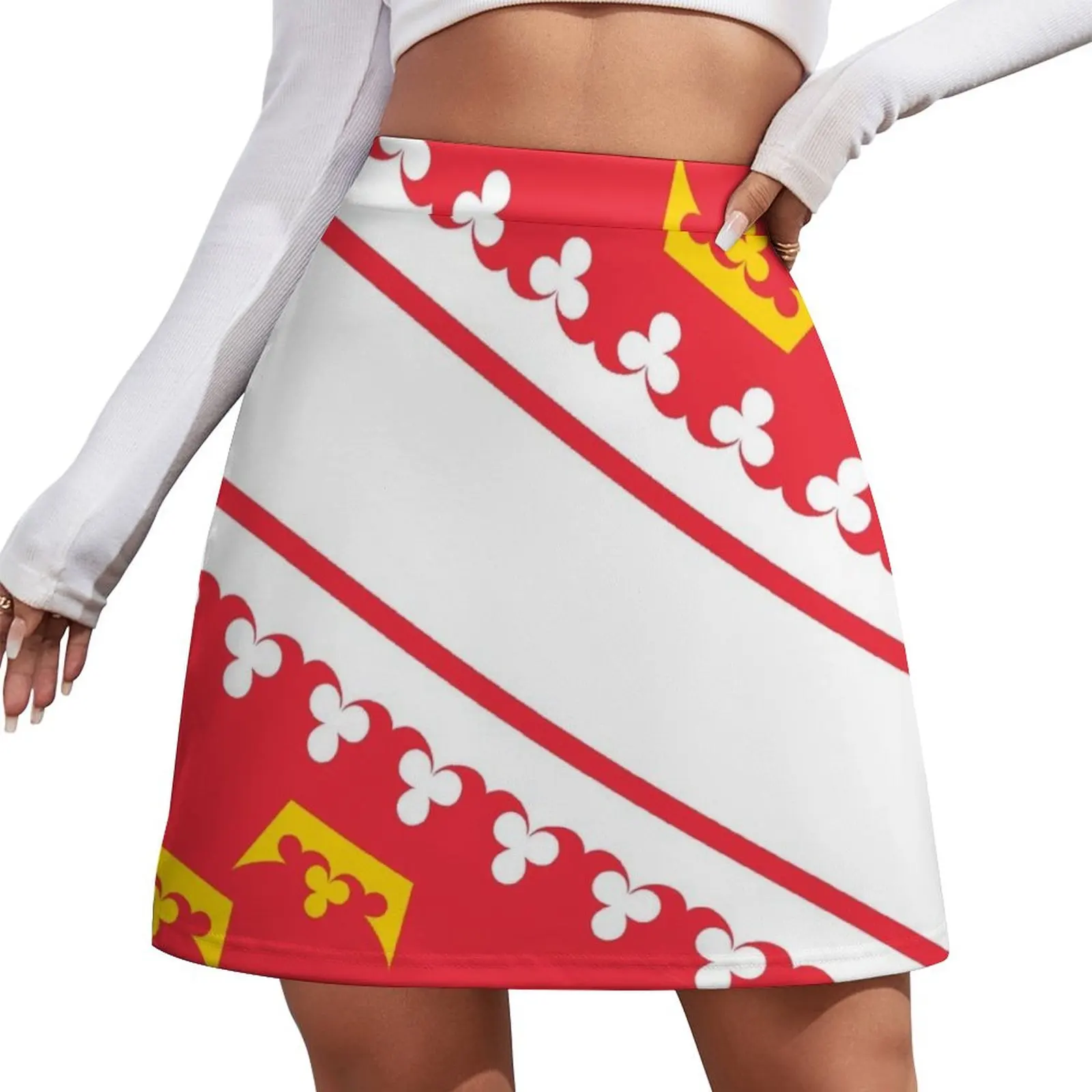 

Flag of Alsace Mini Skirt clothes midi skirt for women