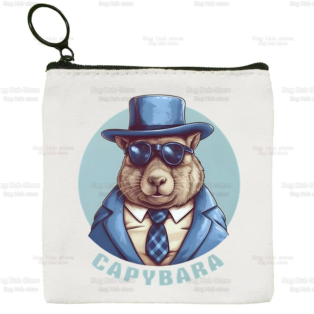 Capybara Capibara quadratische Tasche Münz geldbörse Aufbewahrung Cartoon keine Sorge cacy kleine Tasche Karten tasche Schlüssel tasche Münze Clutch Tasche Reiß verschluss