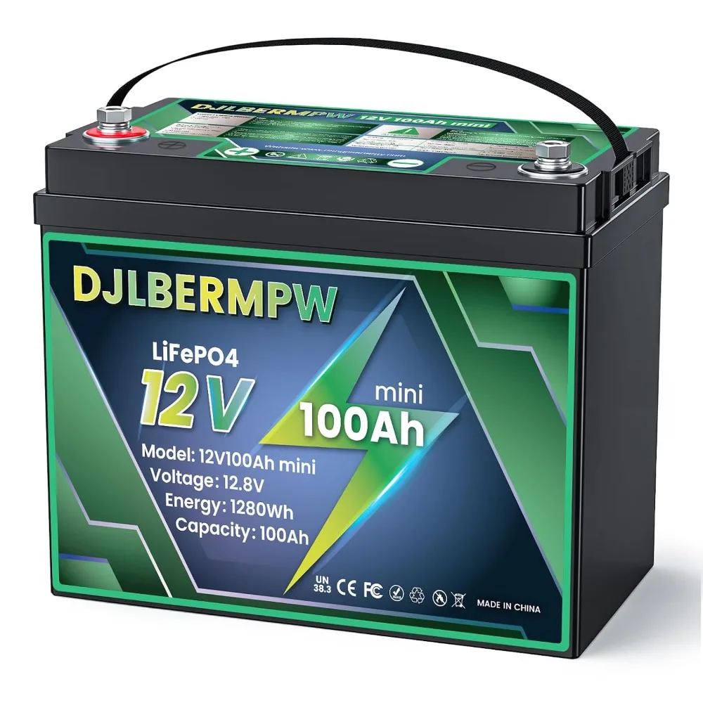 12V 100Ah Mini LiFePO4 Battery 100A BMS 1280Wh Deep Cycle Lithium Battery 15000 Cycles 10-Year Lifespan for RV Marine, Custom
